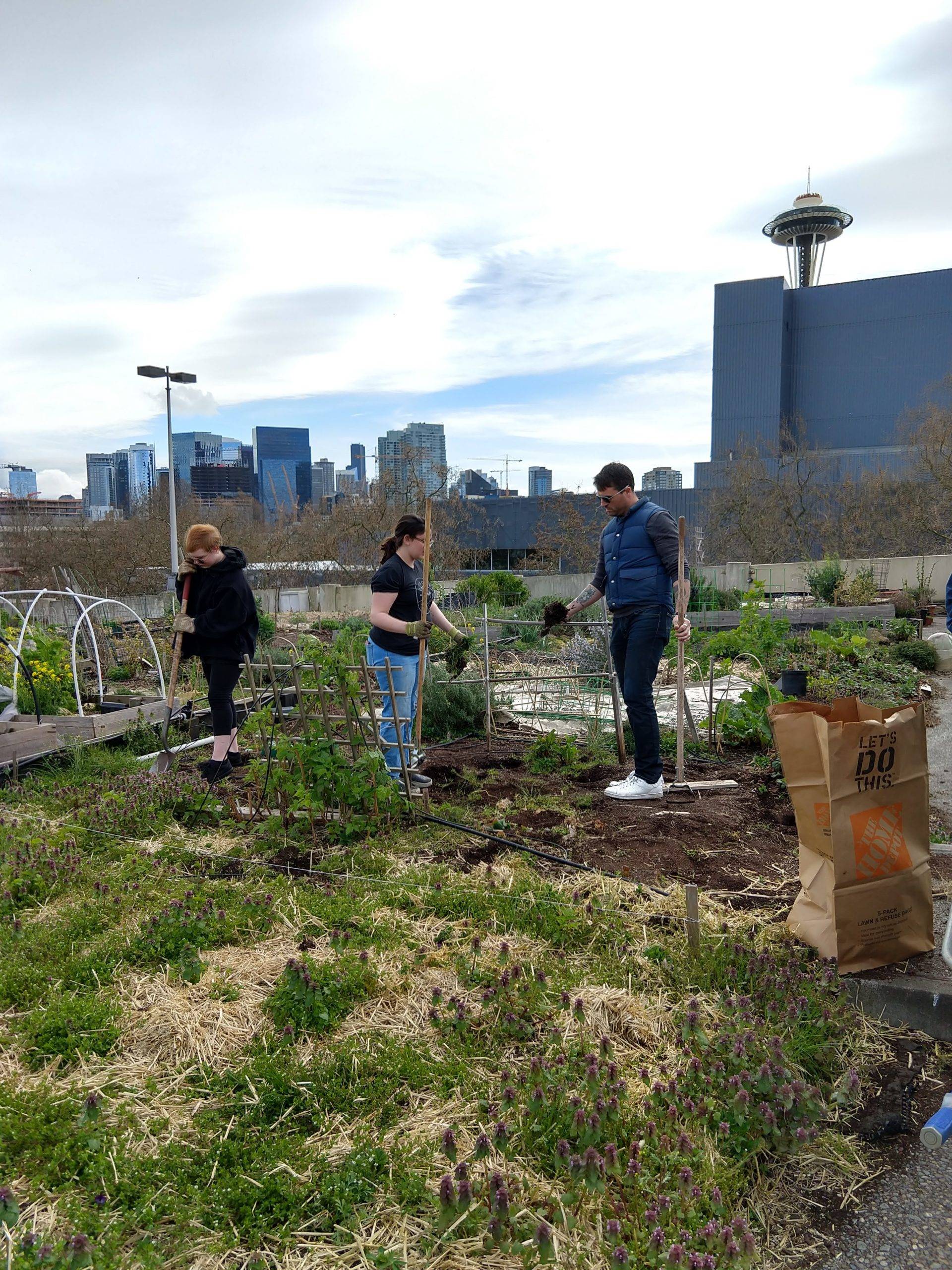 UpGarden Work Party